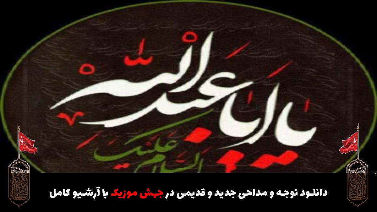 عکس آهنگ عباسم و در پی خطر میگردم با نوای از امیر برومند